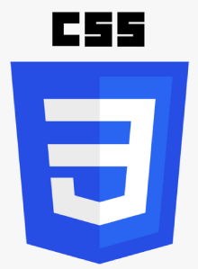 CSS Training in indore