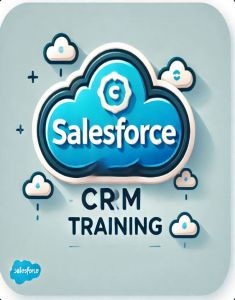 SalesForce Training in chennai
